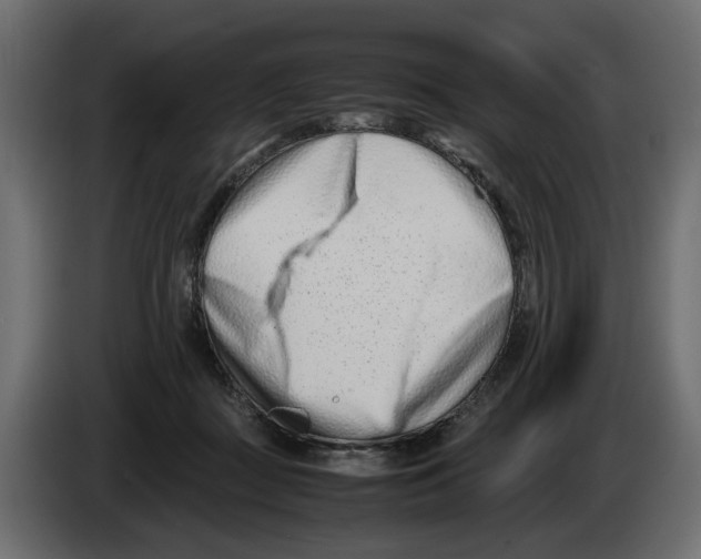 X0000082950363200703020155