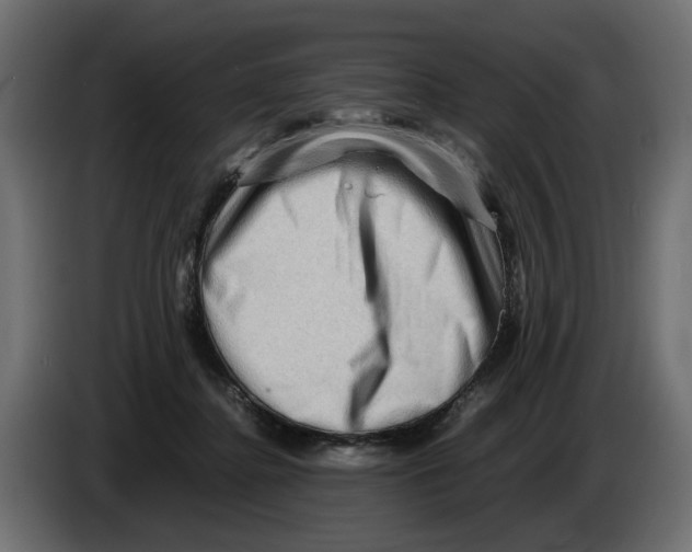 X0000082950364200703020155