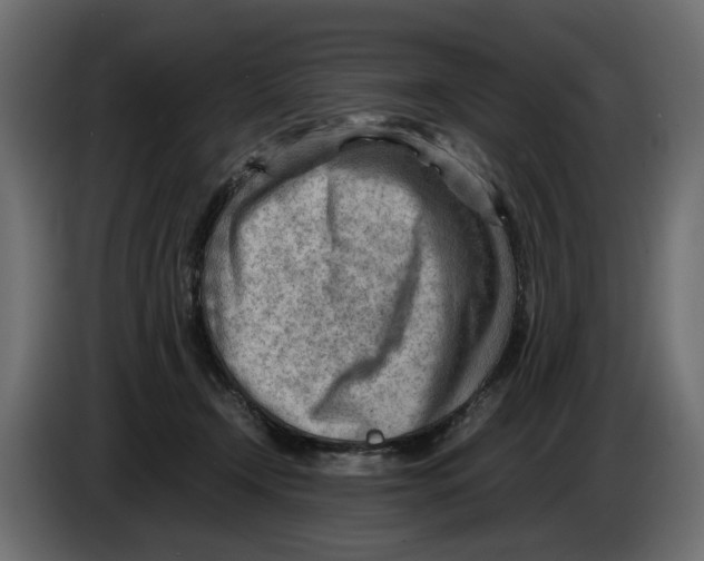 X0000082950366200703020155