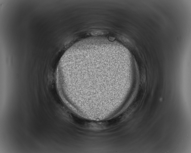 X0000082950367200703020155