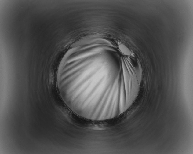 X0000082950368200703020155