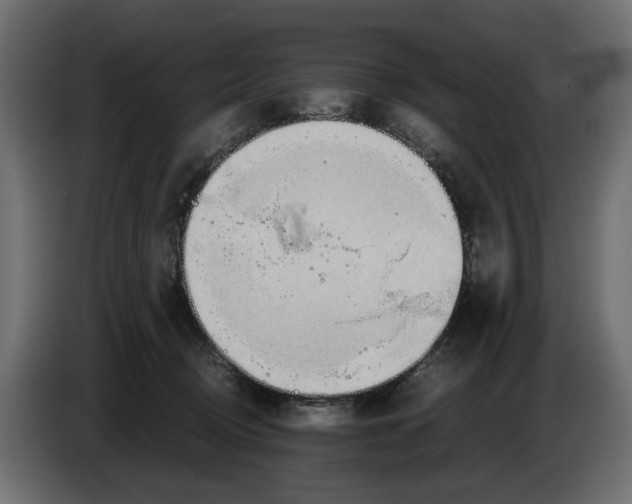 X0000082950370200703020155