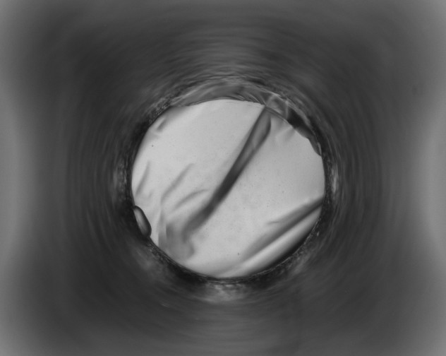 X0000082950372200703020155