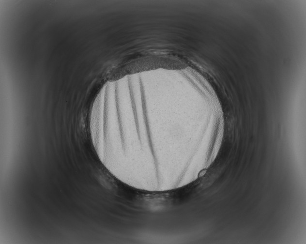 X0000082950373200703020155