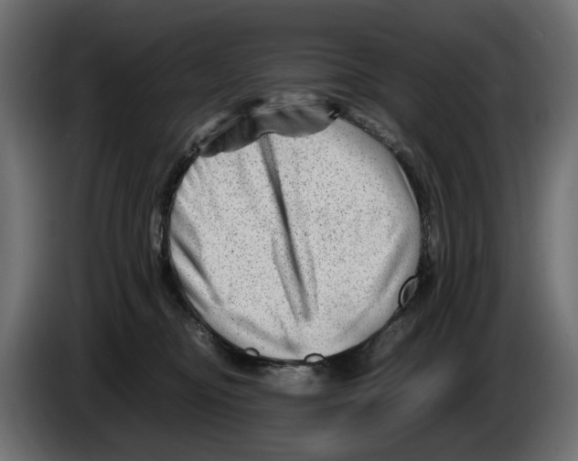 X0000082950374200703020155