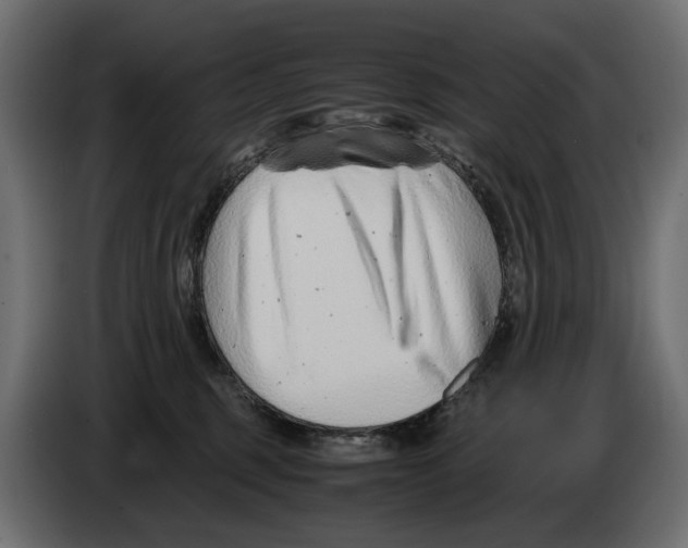 X0000082950375200703020155