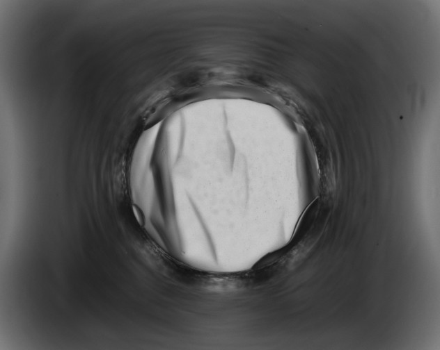 X0000082950376200703020155