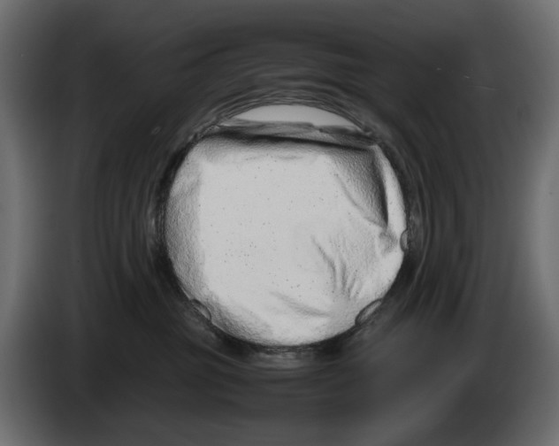 X0000082950381200703020155