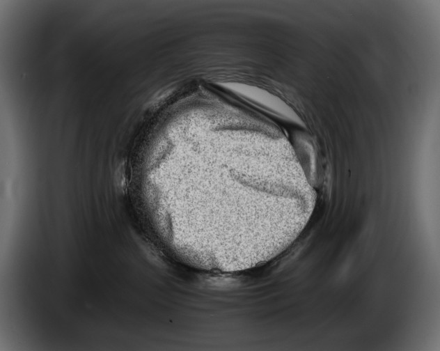 X0000082950383200703020155