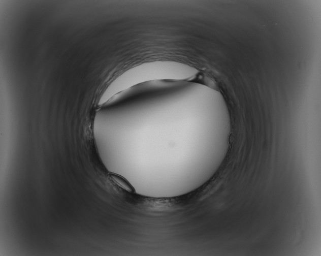 X0000082950384200703020155