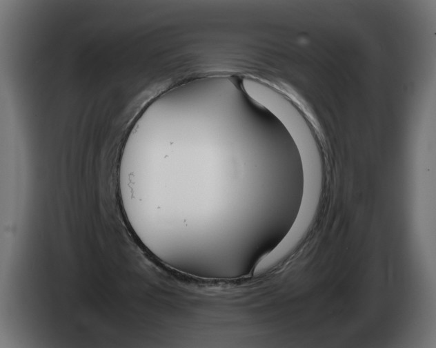 X0000082950385200703020154