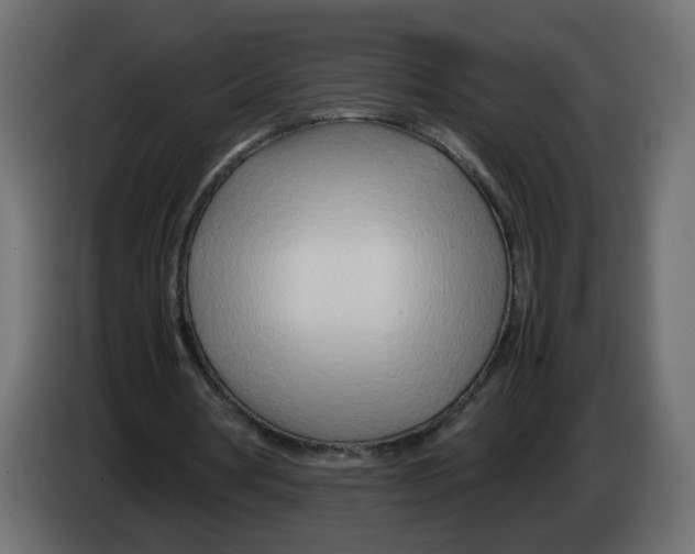 X0000082950386200703020154