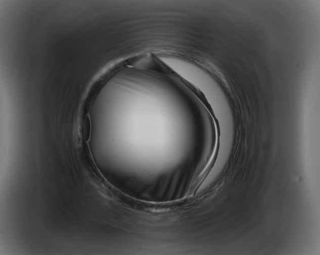 X0000082950388200703020154