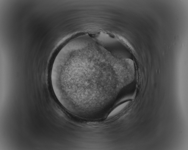 X0000082950391200703020154