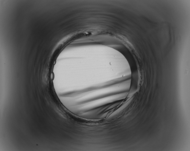 X0000082950392200703020154