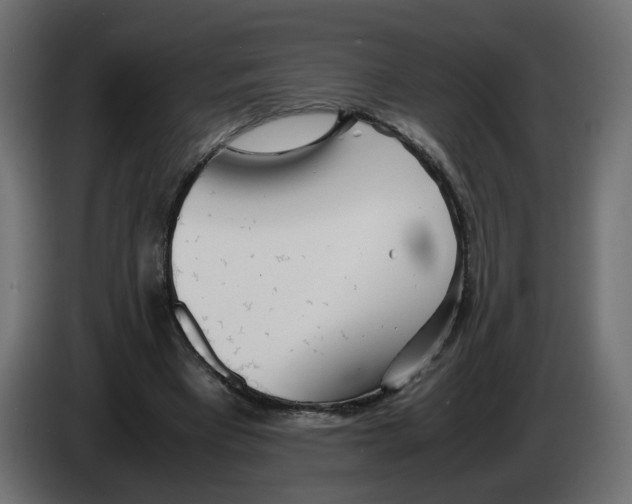 X0000082950393200703020154