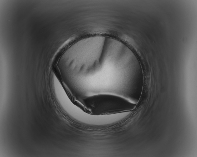 X0000082950395200703020154