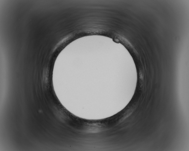 X0000082950396200703020154