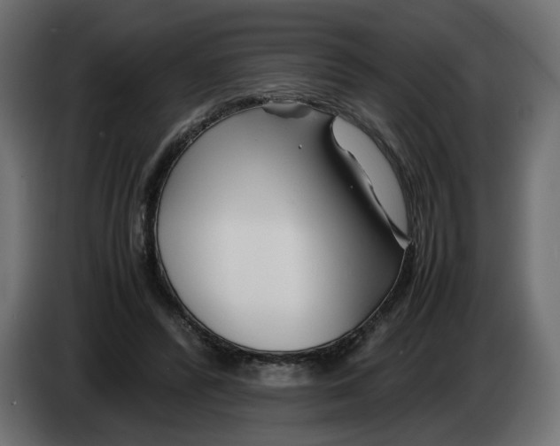 X0000082950400200703020154