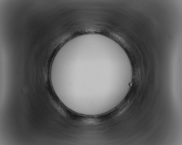 X0000082950402200703020154