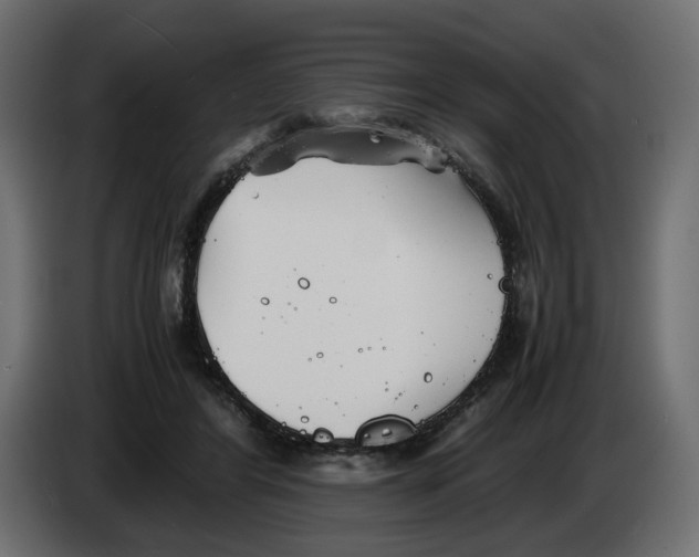 X0000082950404200703020154