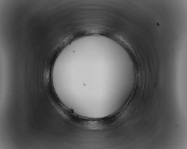 X0000082950406200703020154