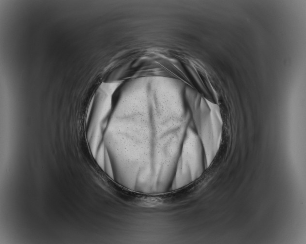 X0000082950409200703020154