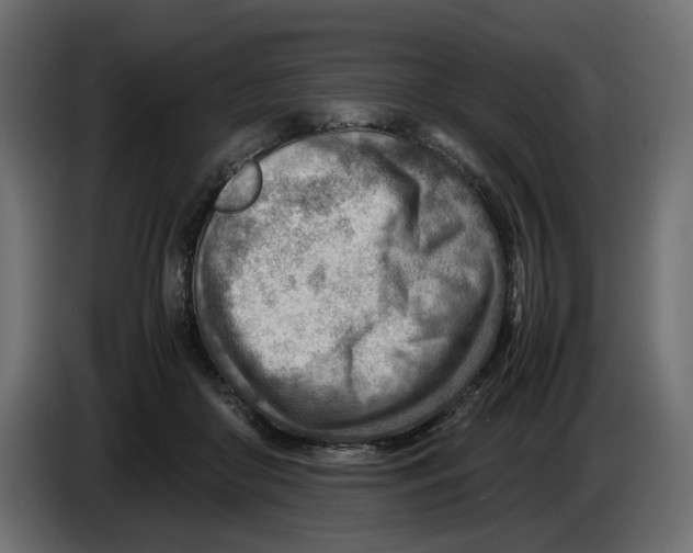 X0000082950410200703020154