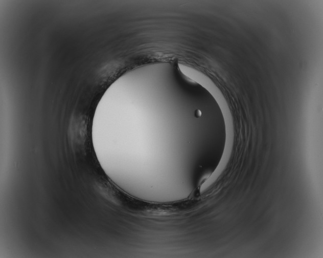 X0000082950412200703020154