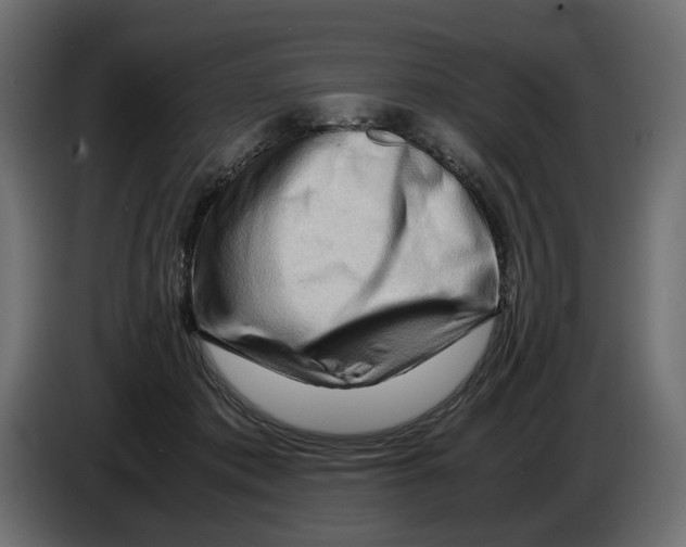 X0000082950413200703020154