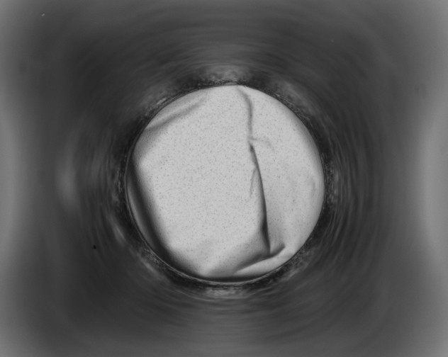 X0000082950414200703020154