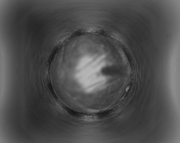 X0000082950415200703020154