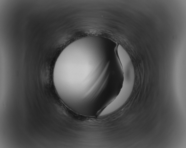 X0000082950416200703020154