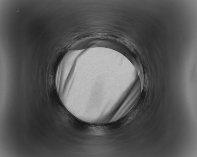 X0000082950417200703020154