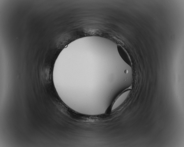 X0000082950420200703020154