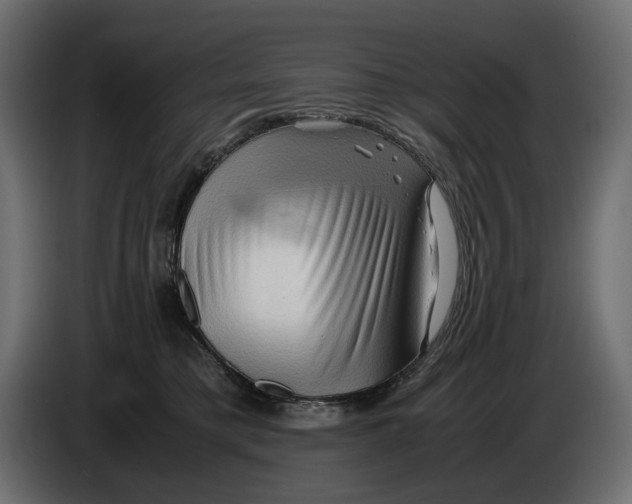 X0000082950421200703020154