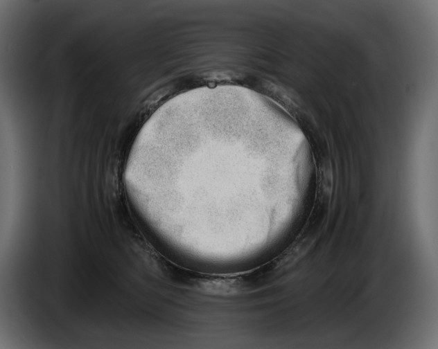 X0000082950422200703020154