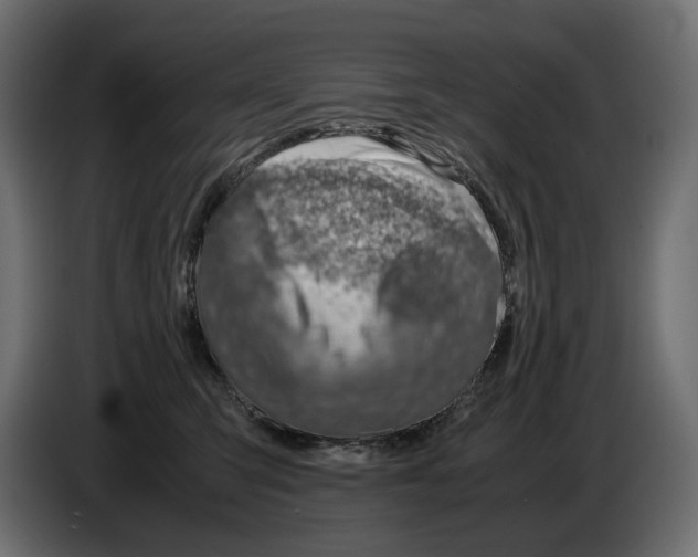 X0000082950423200703020154