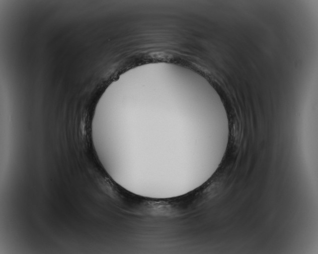 X0000082950424200703020154