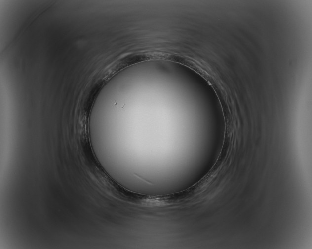 X0000082950425200703020154