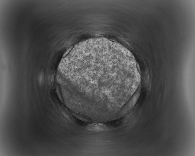 X0000082950427200703020154