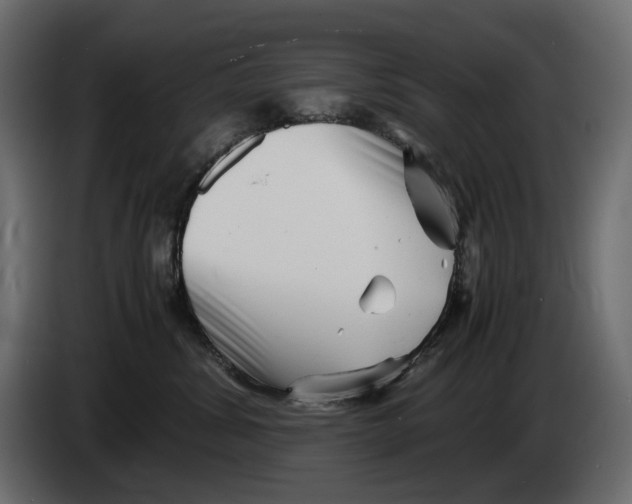 X0000082950428200703020154