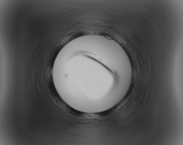 X0000082950429200703020154