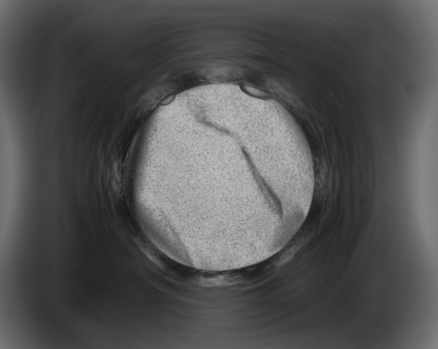 X0000082950430200703020154