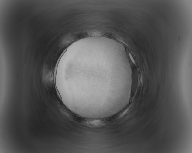 X0000082950431200703020154