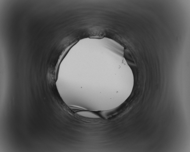 X0000082950432200703020154