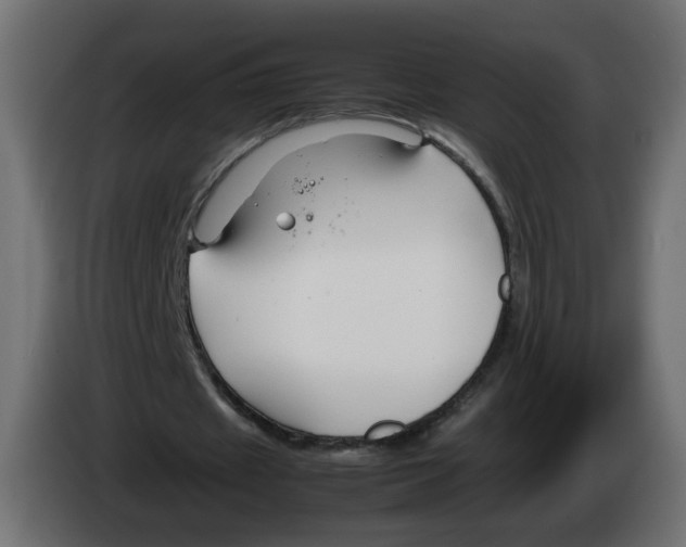 X0000082950433200703020153