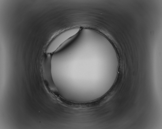 X0000082950434200703020153