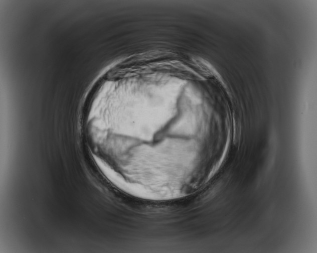 X0000082950435200703020153