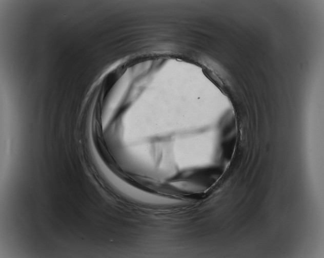 X0000082950436200703020153